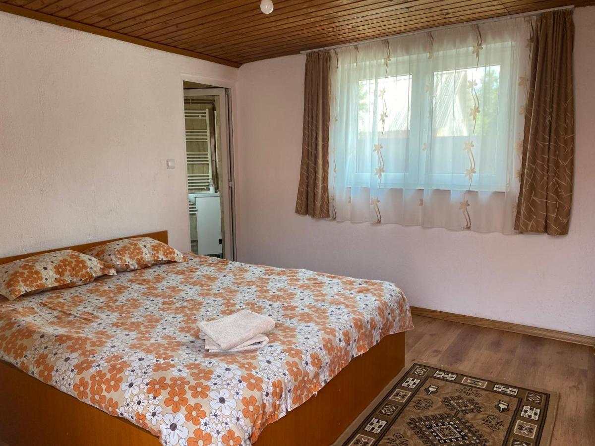 Hotel Casa Blendea Daniela Cîrţişoara Exterior foto